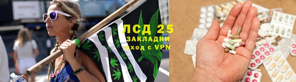 спайс Лабытнанги