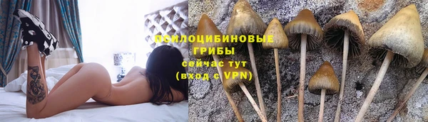 мдпв Лагань