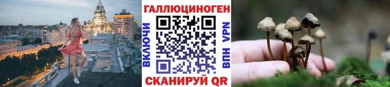 Купить  Певек  Псилоцибиновые грибы Magic Shrooms 